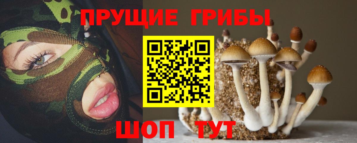Галлюциногенные грибы Psilocybe  Вход с VPN  закладка  Касимов 